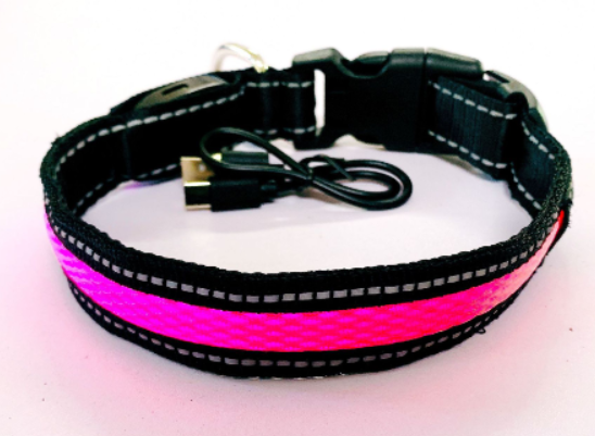 LED Dog Leash with Fluorescent Dog Collar